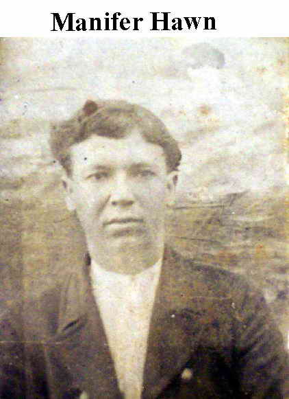 Image_hawn, manifer.JPG