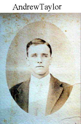 Image_taylor, andrew.JPG